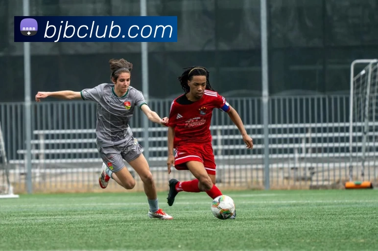 百家博娱乐城官网APP 体育赛事宣传图